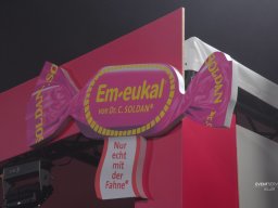 WOK WM - Teamvorstellung